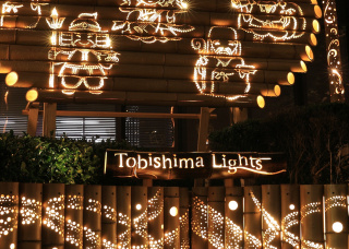 トビシマライツ　ナイトマーケット　出店者のお知らせ